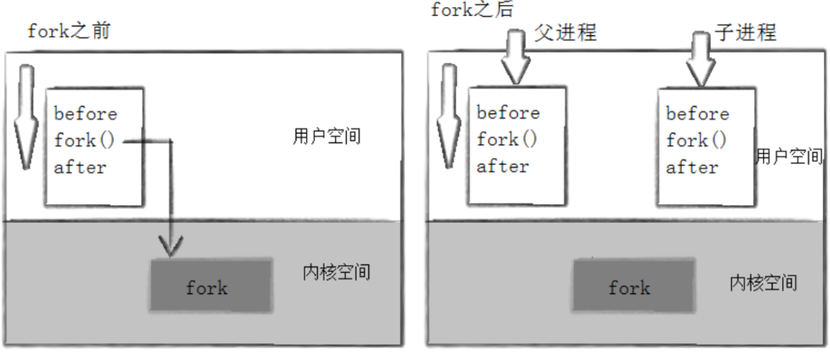 【Linux系统编程】（十七）揭秘 Linux 进程创建与终止：从 fork 到 exit 的底层逻辑全解析