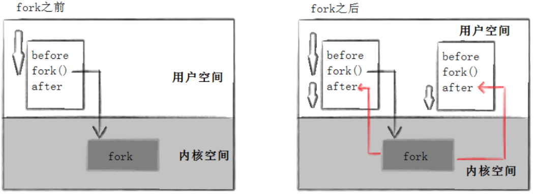 【Linux系统编程】（十七）揭秘 Linux 进程创建与终止：从 fork 到 exit 的底层逻辑全解析