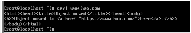 dhcp dns httpd实验