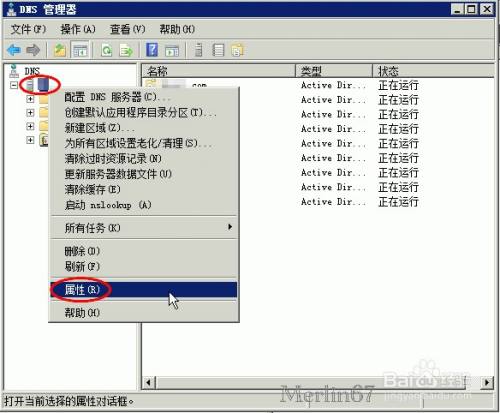 本地DNS如何解析公网域名