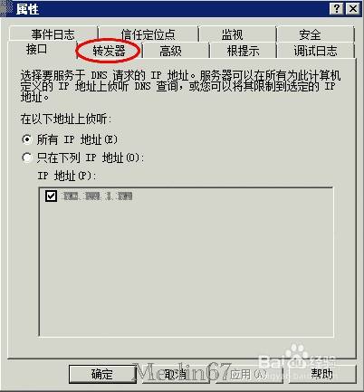 本地DNS如何解析公网域名